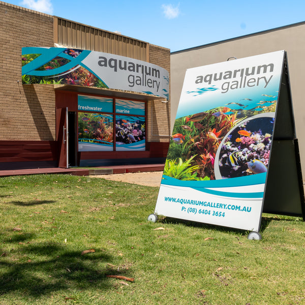 Aquarium Gallery Perth Photos